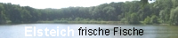 Frische Fische
